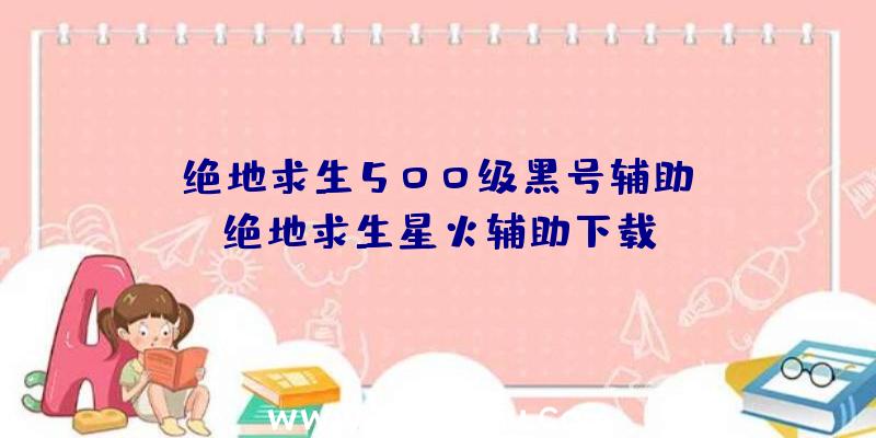 「绝地求生500级黑号辅助」|绝地求生星火辅助下载